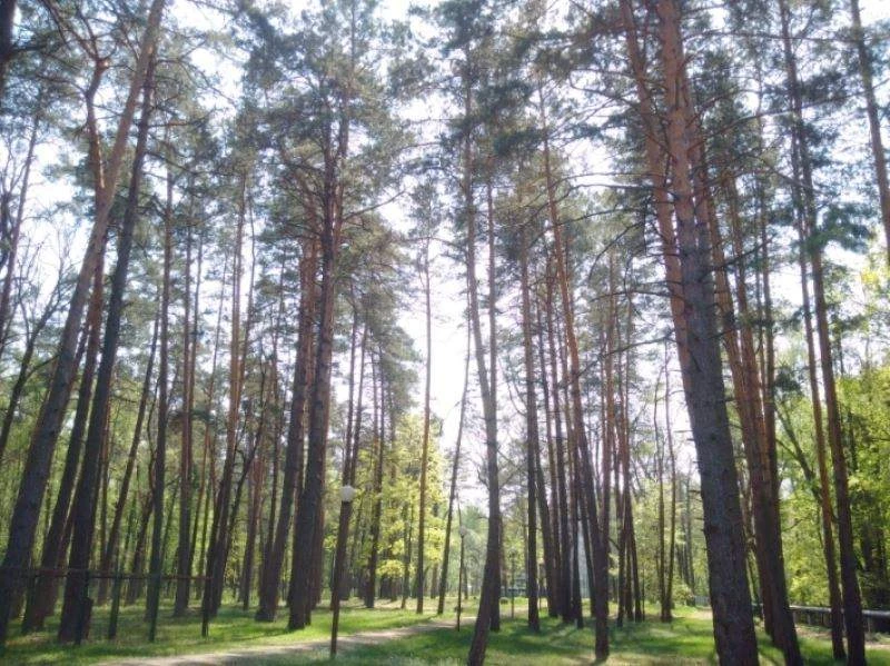 База отдыха "Алые паруса" - продажа или инвестиции